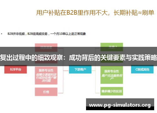 复出过程中的细致观察：成功背后的关键要素与实践策略