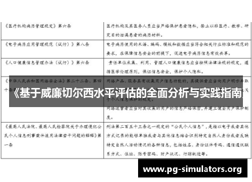 《基于威廉切尔西水平评估的全面分析与实践指南》