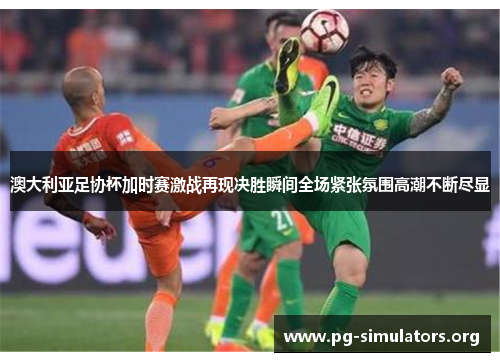 澳大利亚足协杯加时赛激战再现决胜瞬间全场紧张氛围高潮不断尽显 澳大利亚足协杯加时赛激战再现决胜瞬间全场紧张氛围高潮不断尽显