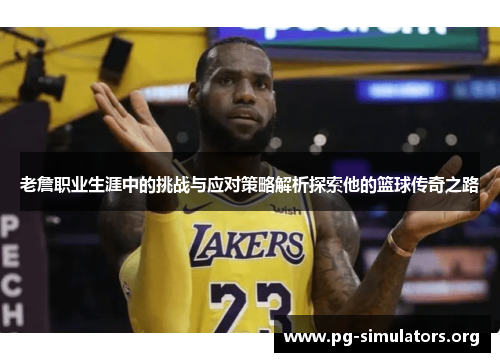 老詹职业生涯中的挑战与应对策略解析探索他的篮球传奇之路