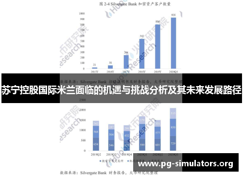 苏宁控股国际米兰面临的机遇与挑战分析及其未来发展路径