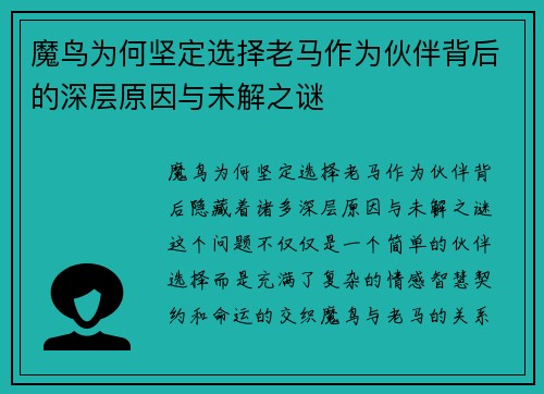 魔鸟为何坚定选择老马作为伙伴背后的深层原因与未解之谜 魔鸟为何坚定选择老马作为伙伴背后的深层原因与未解之谜